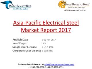 Asia-Pacific Electrical Steel Market Report 2017.pdf